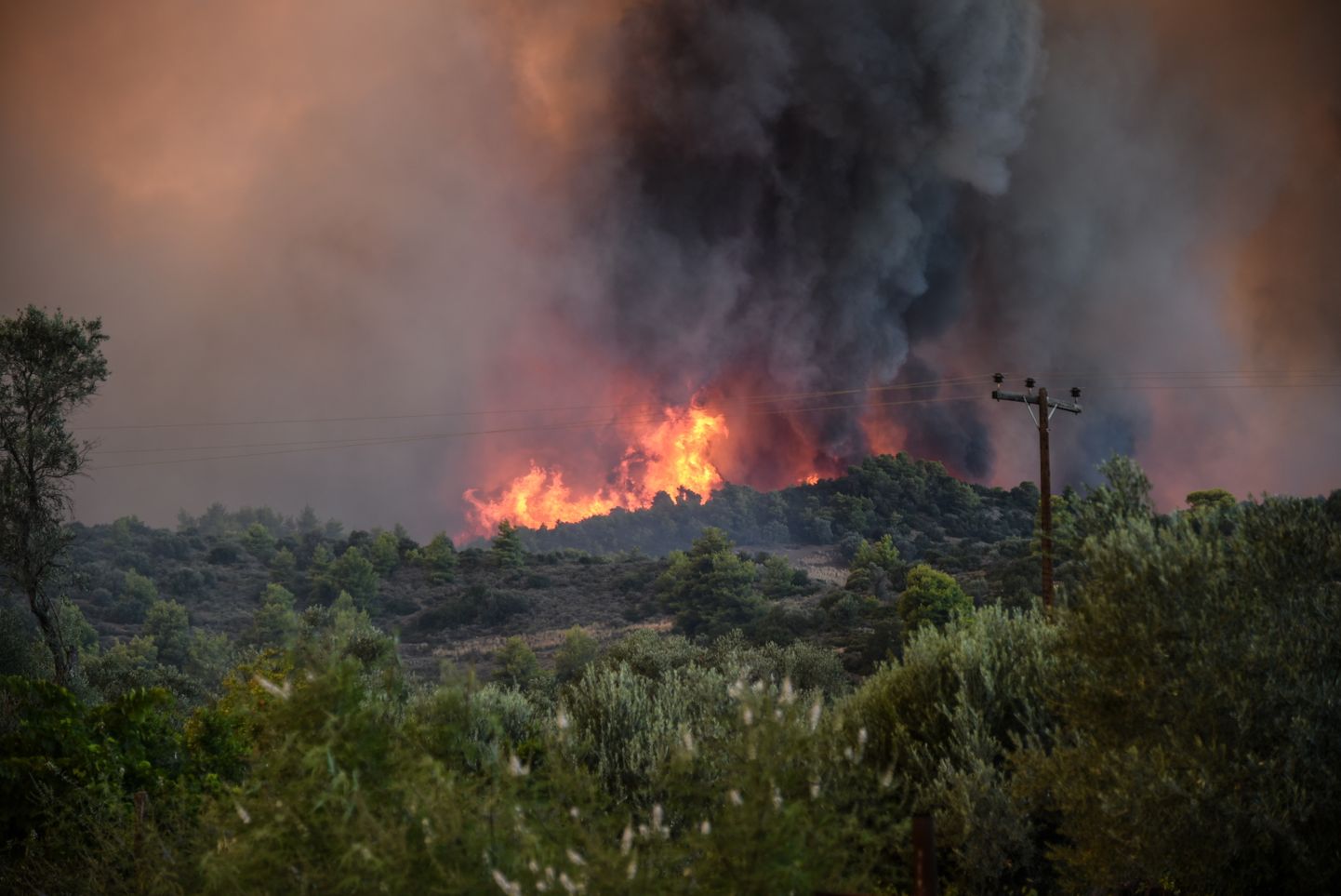 Põleng Kreeka Evia saarel.