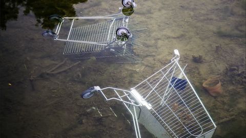 Фото ⟩ Хулиганы утопили в озере тележки для покупок