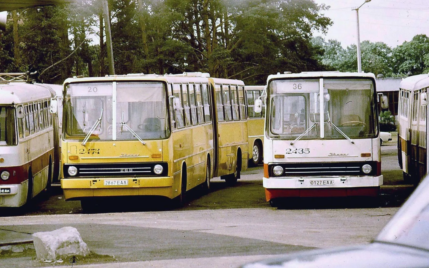 Kadaka lõpp peatus 1982. aasta juunis. Lisaks kollasele lõõtsale (Ikarus 280) on sellest paremal ka kapremondi läbinud ja kollasest punavalgeks võõbatud Ikarus 260