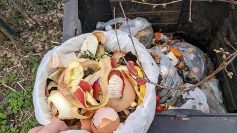 Kas biolagunevat kotti tohib koos jäätmetega komposti visata?