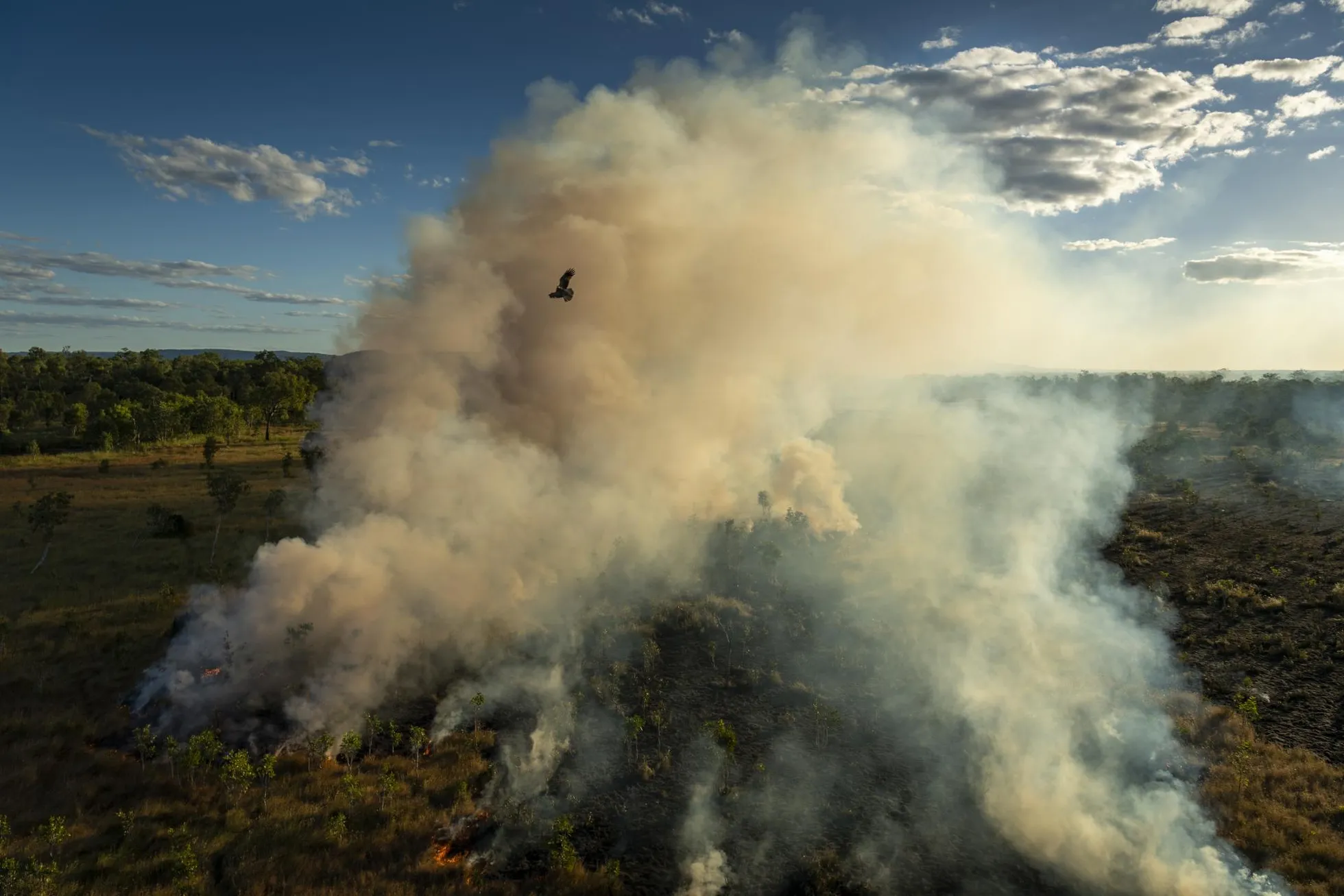 Maailma pressifoto aastalugu:  «Hoida tule abil metsa», fotograaf Matthew Abbott, Austraalia, National Geographic / Panos Pictures. 2. mai 2021, Austraalia. Aborigeenid on kümneid tuhandeid aastaid meelega põletanud kuivanud rohtu ja alusmetsa, et hooldada maad ja ära hoida juhuslikke tulekahjusid.