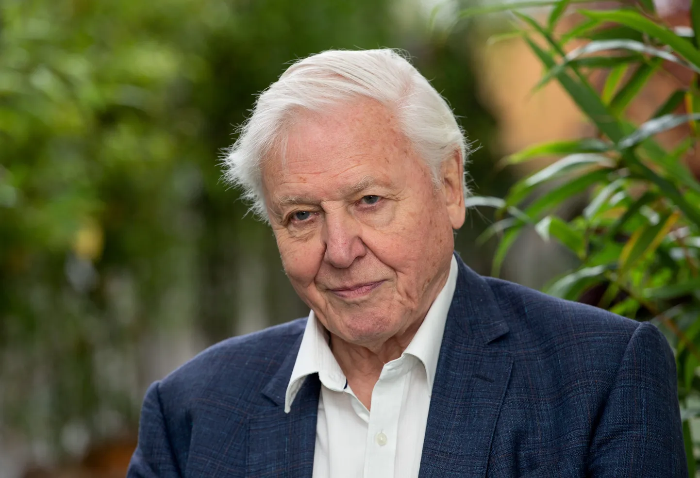 Sir David Attenborough