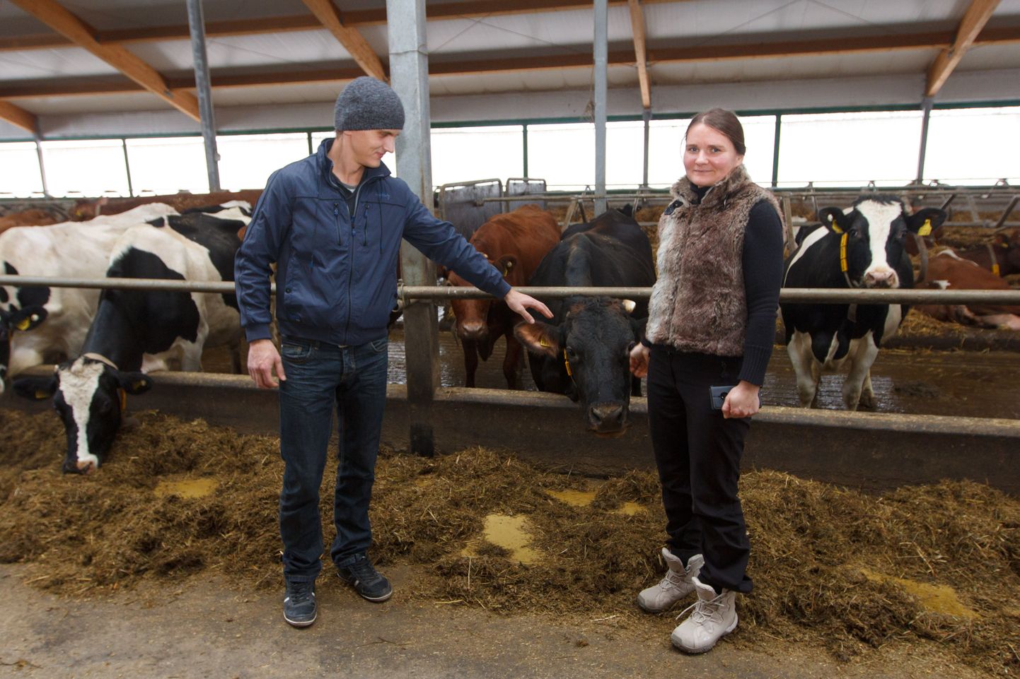 Lauri ja Triinu Kõressaar juhivad kodutalus tegutsevat põllumajandusettevõtet OÜ Tõntso Agro.