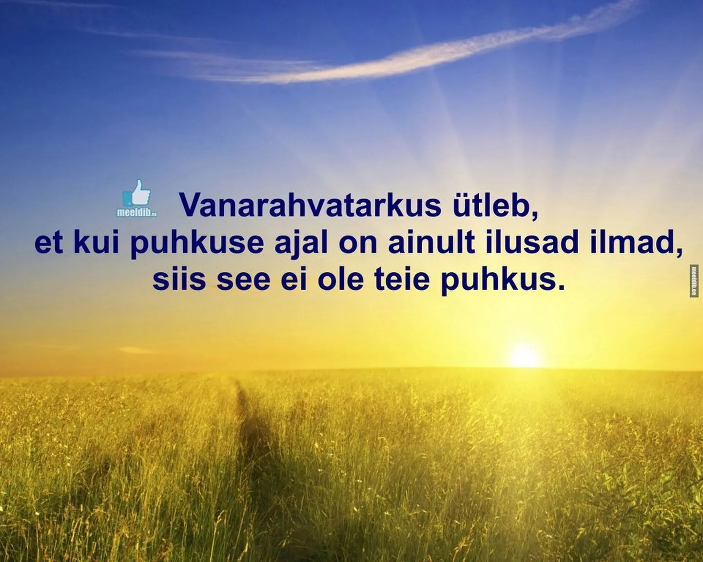 Artikli foto