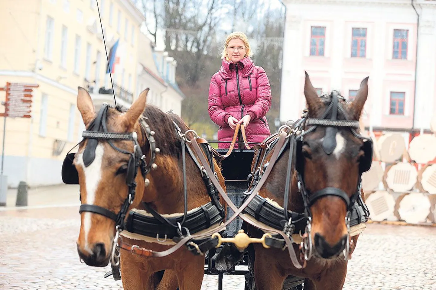 Hiina kalendri järgi on uus aasta hobuseaasta, teab Egle Pullerits, kuigi ta horoskoopidesse ja ennustamisse ei usu.