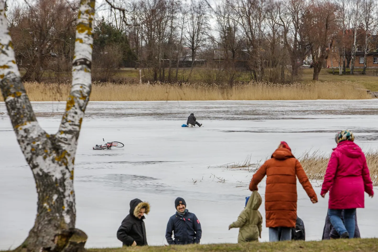 Eelmisel nädalal oli päästjatel tegemist jääleminekukeeldu eiravate kalameestega.