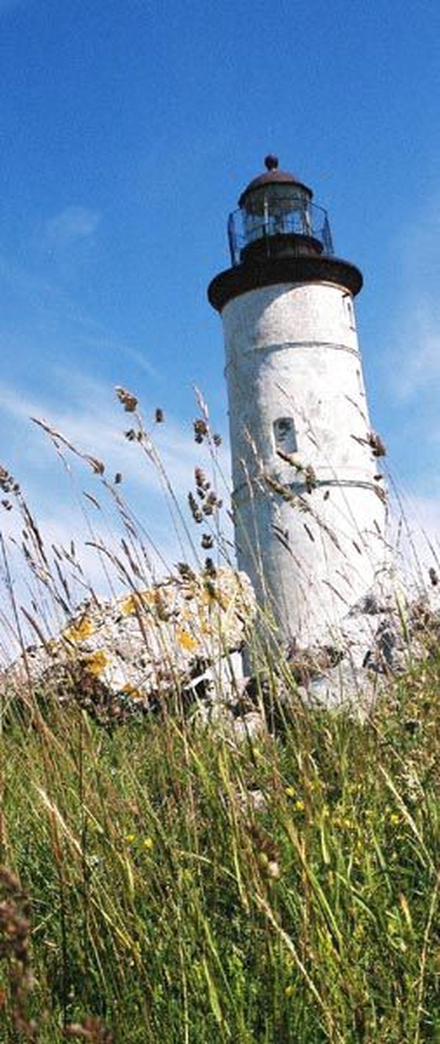 Tänu Vilsandi tuletorni noorele ülemale Artur Toomile võeti Vilsandi lääneranniku lähedal asuvad Vaika saared kaitse alla juba 1909. aastal. Majakas ise ehitati sada aastat varem.