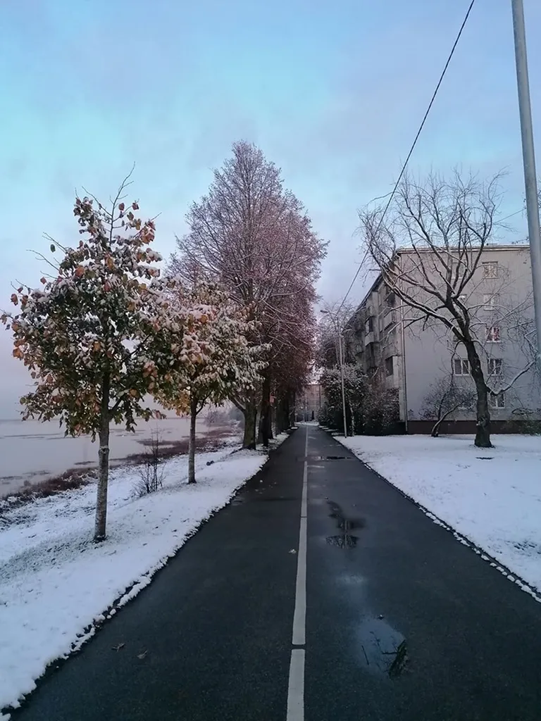 Фото статьи