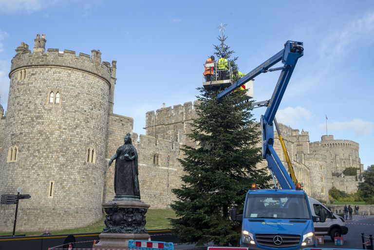 Windsori lossi juurde pandi jõulukuusk