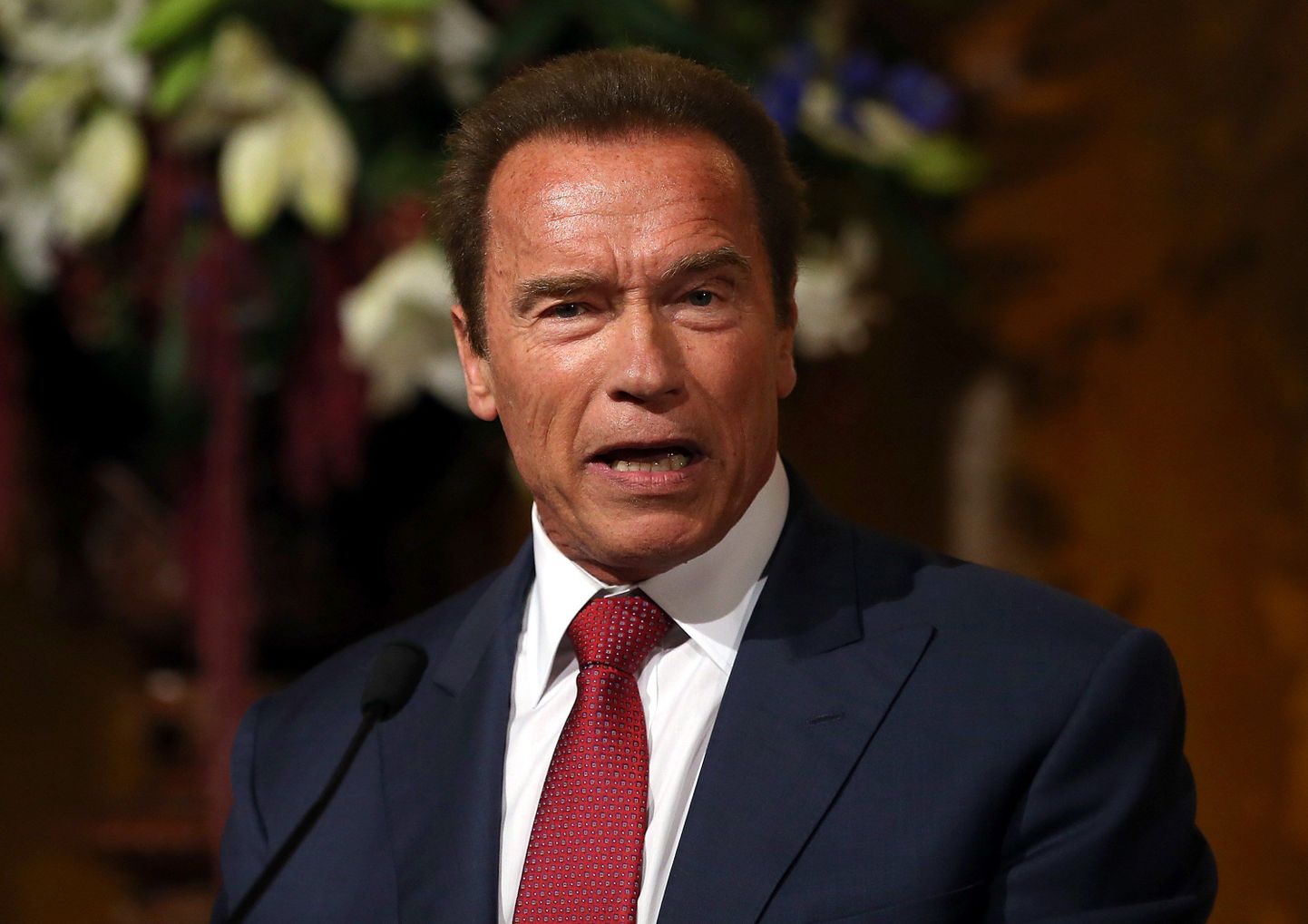 Arnold Schwarzenegger jäädvustati maalile