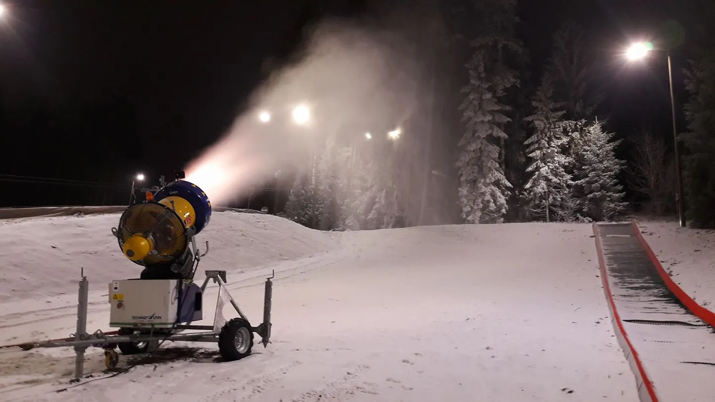 Valgehobusemägi