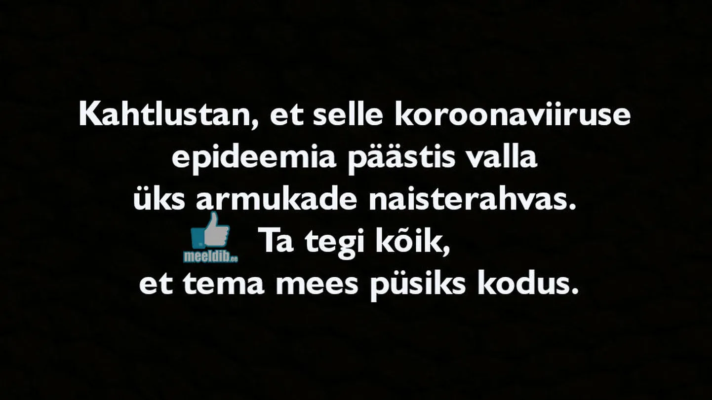 Artikli foto