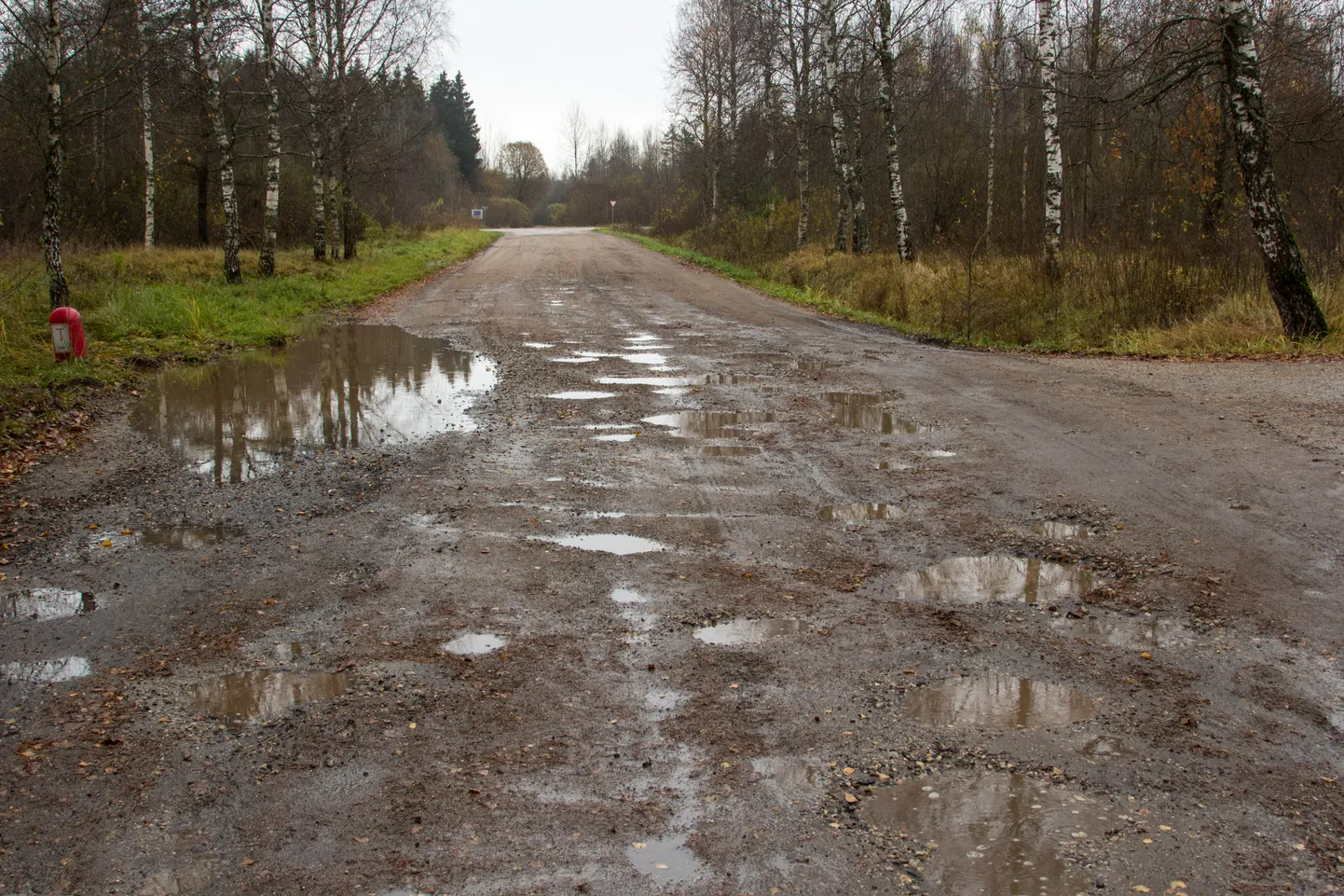 Saviaugu tänav Valgas.