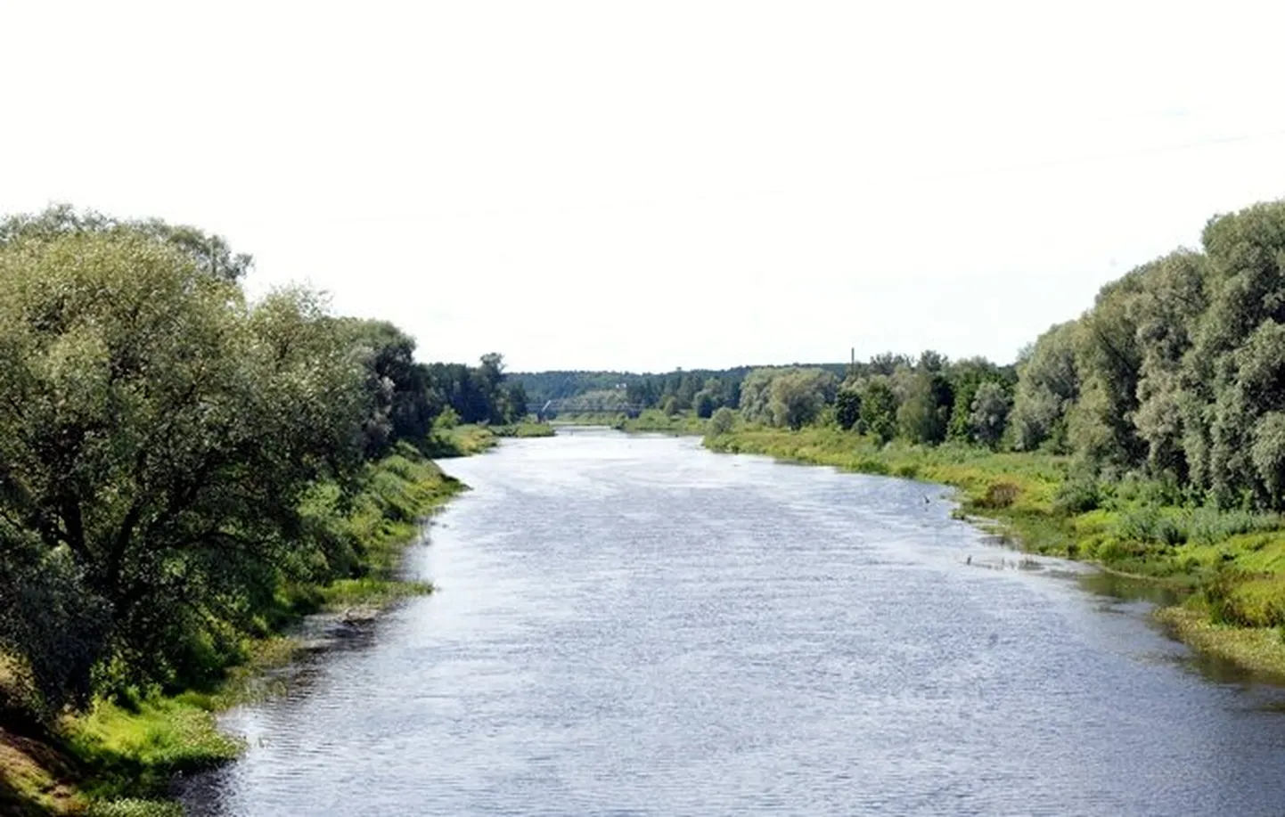 Raksta foto