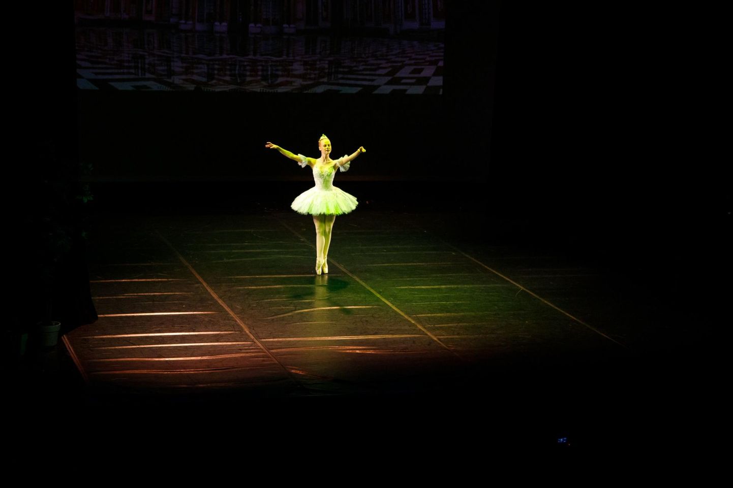 Tänavuaastane kultuurifestival toob spordihoonesse lavale graatsilised baleriinid.