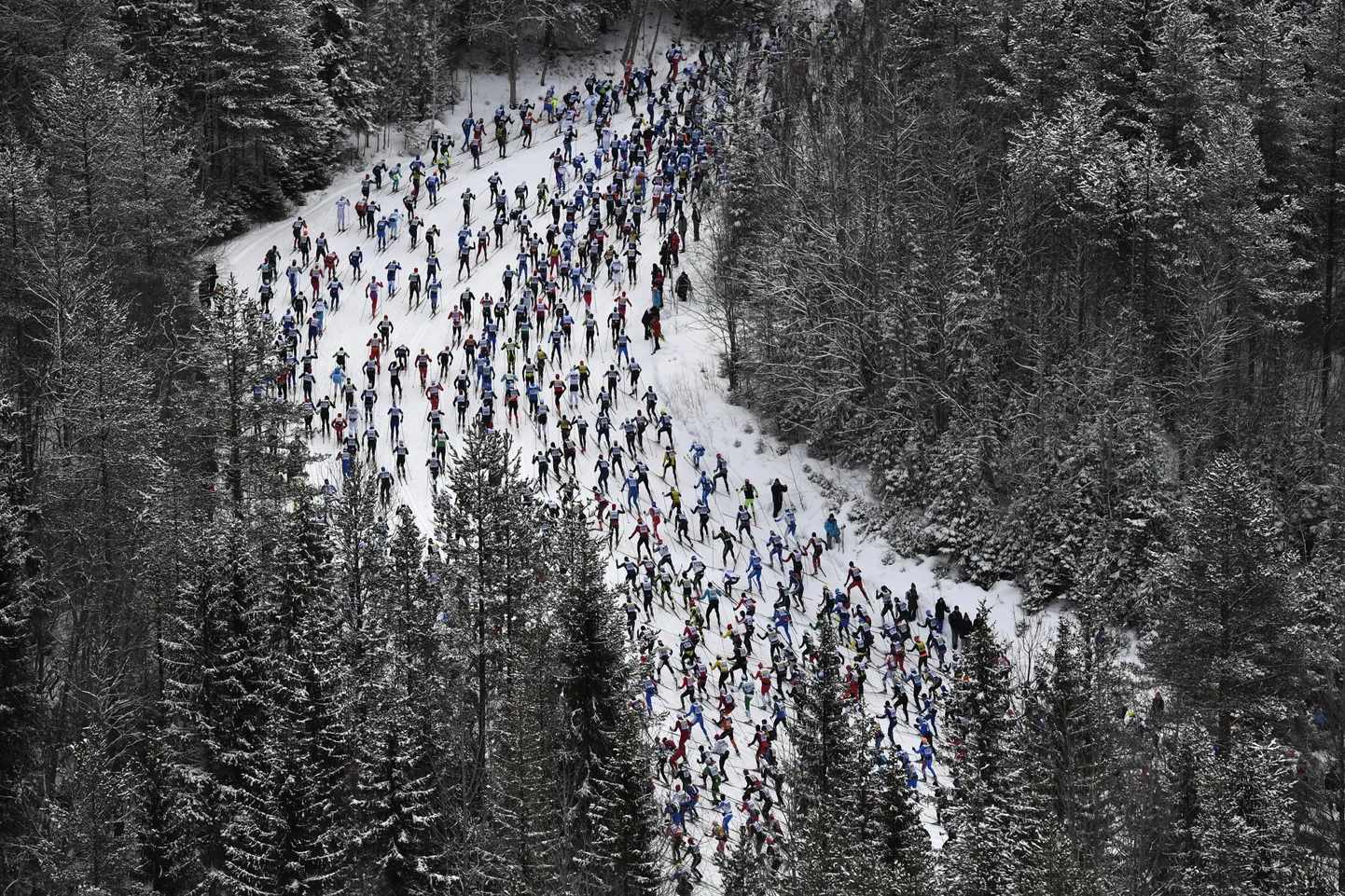 Vasaloppet 2017