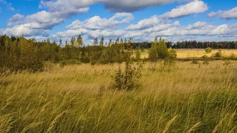PÄEVAHOROSKOOP ⟩ 15. september: Lõvi väljaütlemised võivad olla tavapärasest teravamad, Neitsi ressursid vajavad hoolikat ülevaatamist