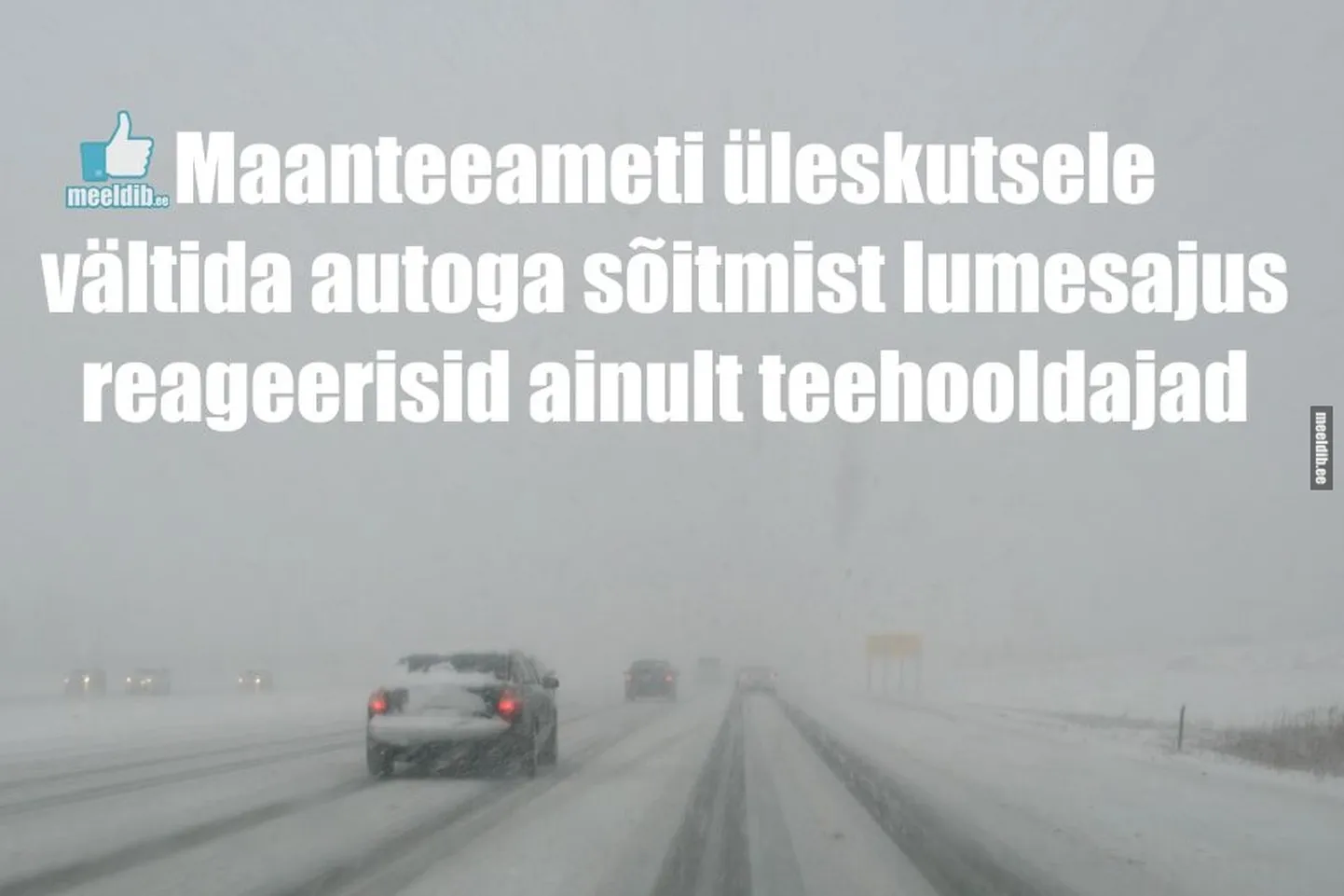 Artikli foto