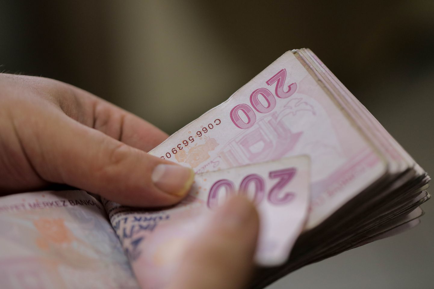 Türgi liiri pangatähed