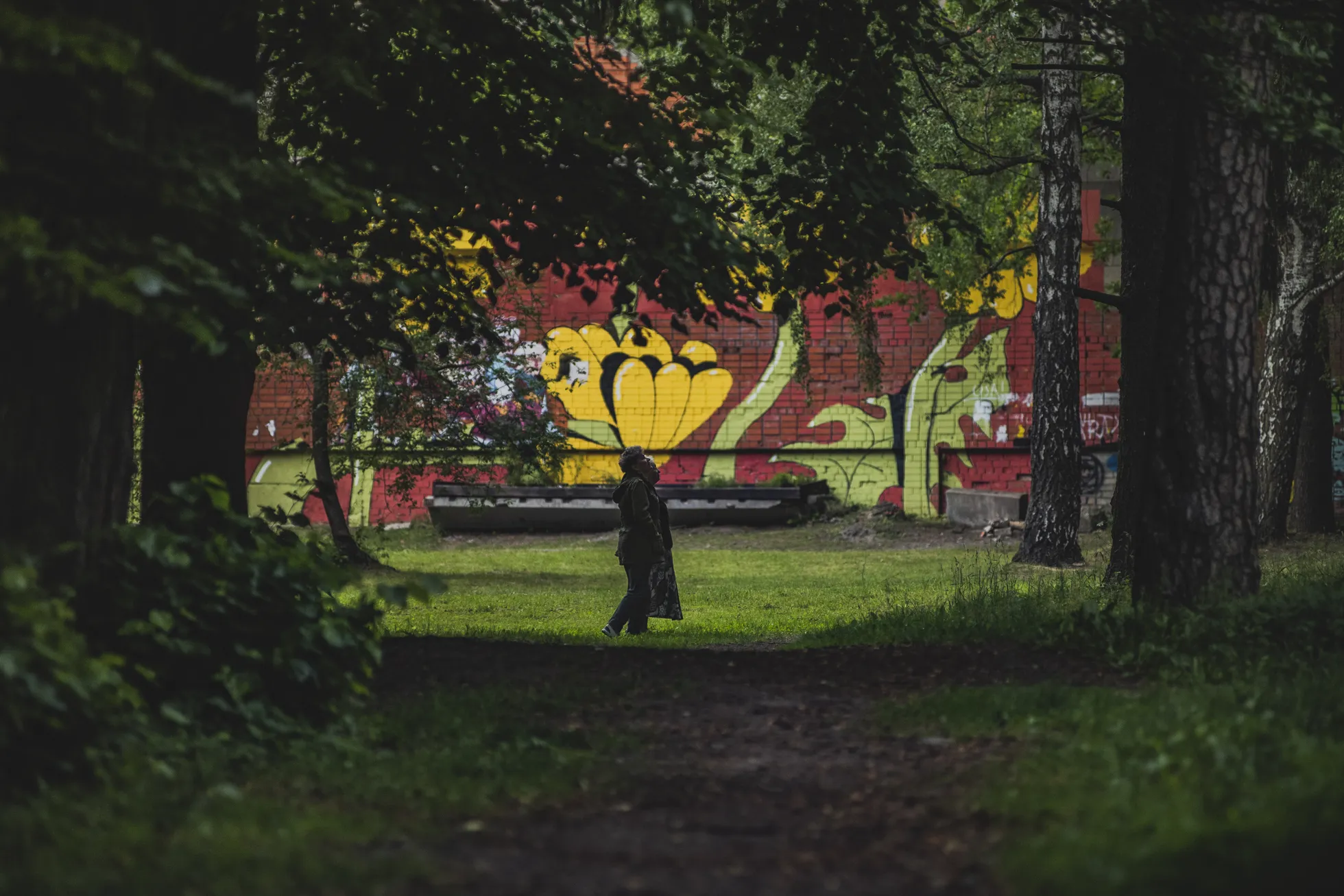 Фото статьи