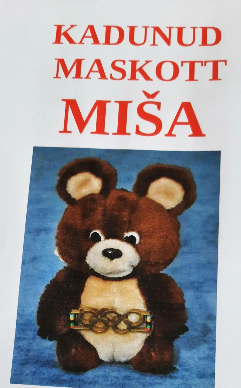 Tagaotsimiskuulutusele lisatud pildi Miša sarnaneb väga kadunud maskotiga.