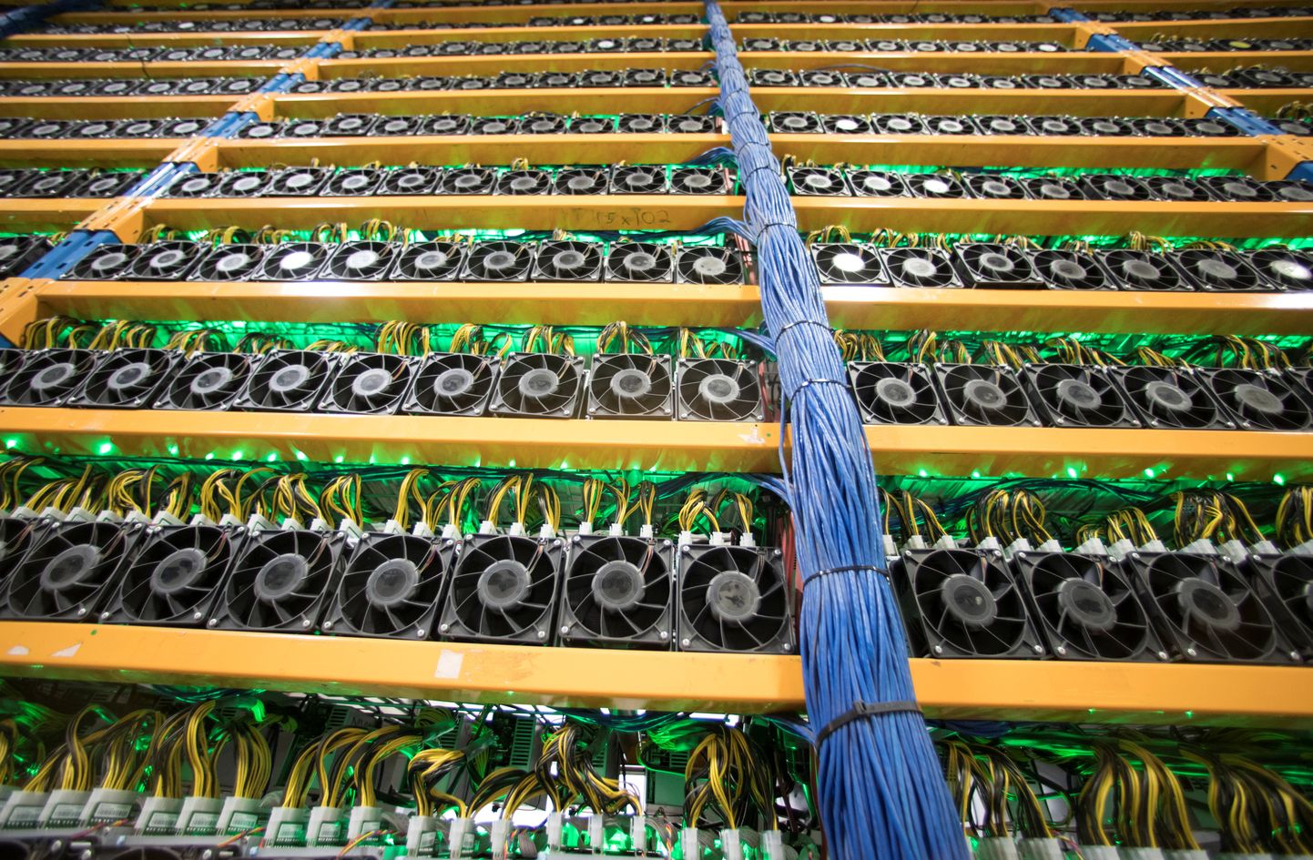 A wall of miners, seen at the cryptocurrency farming operation, Bitfarms, in Farnham, Quebec, Canada, February 2, 2018. Picture taken February 2, 2018. REUTERS/Christinne Muschi
