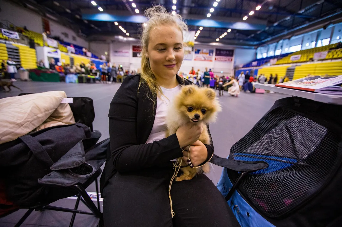 Kaks korda aastas võõrustab Rakvere spordihall rahvusvahelist kõikide tõugude koertenäitust.