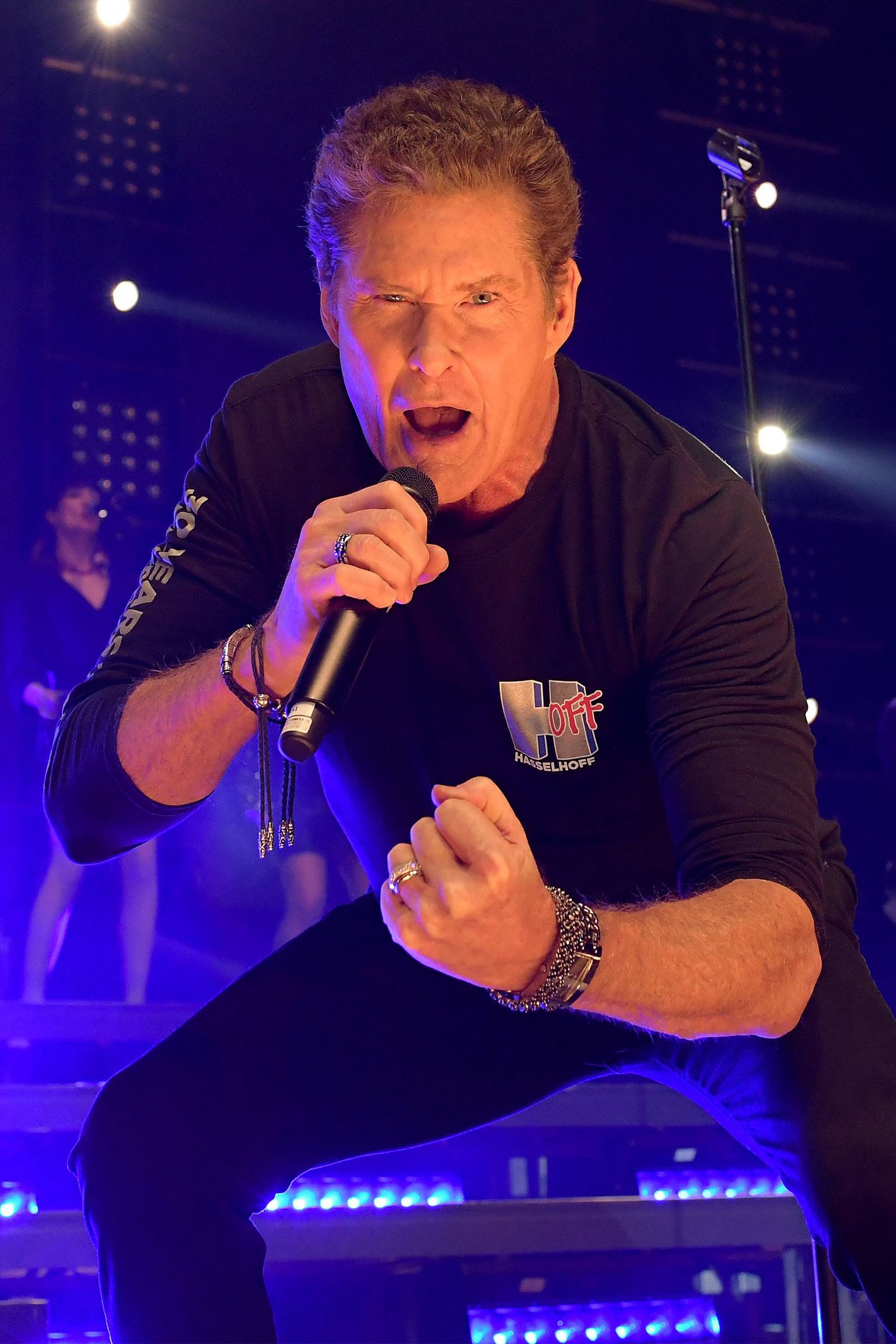 David Hasselhoff, 2018.