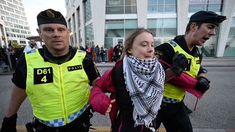 ФОТО И ВИДЕО ⟩ Шведскую активистку Грету Тунберг арестовали: перед Мальмё Ареной прошла демонстрация