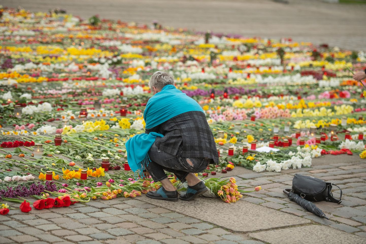Ковер цветов у памятника в парке Победы
