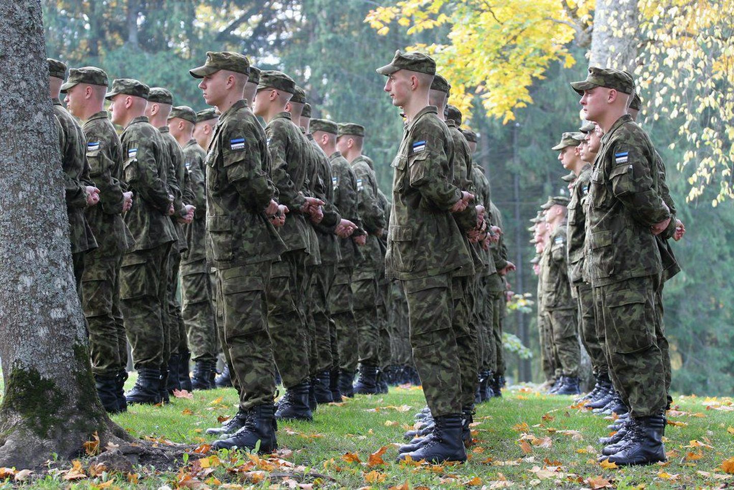 Eestis viibinud Poola üksus suundus Leetu. Foto on illustratiivne.