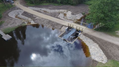 Kolmeaastane Tagametsa projekt tõi läbimurde: kalad pääsevad paisust mööda, paisjärv ja veemõnud säilivad