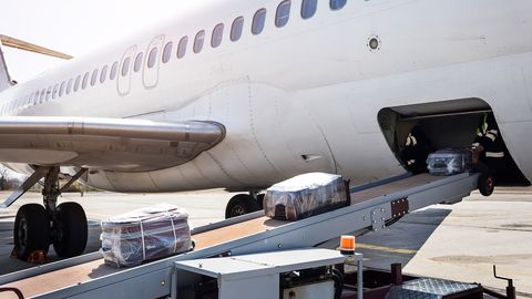 PAGASIKÄITLEJA JAGAB ⟩ Lennuki pagasiruumis võib kohvrite keskel olla ka see ehmatav ese