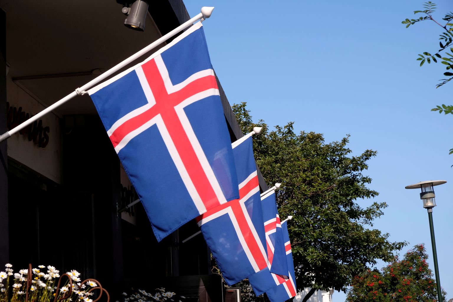 Islandi lipud Reykjaviki tänaval.
