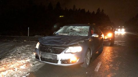Fotod: Raplamaal sõitis auto põdrale otsa, loom hukkus