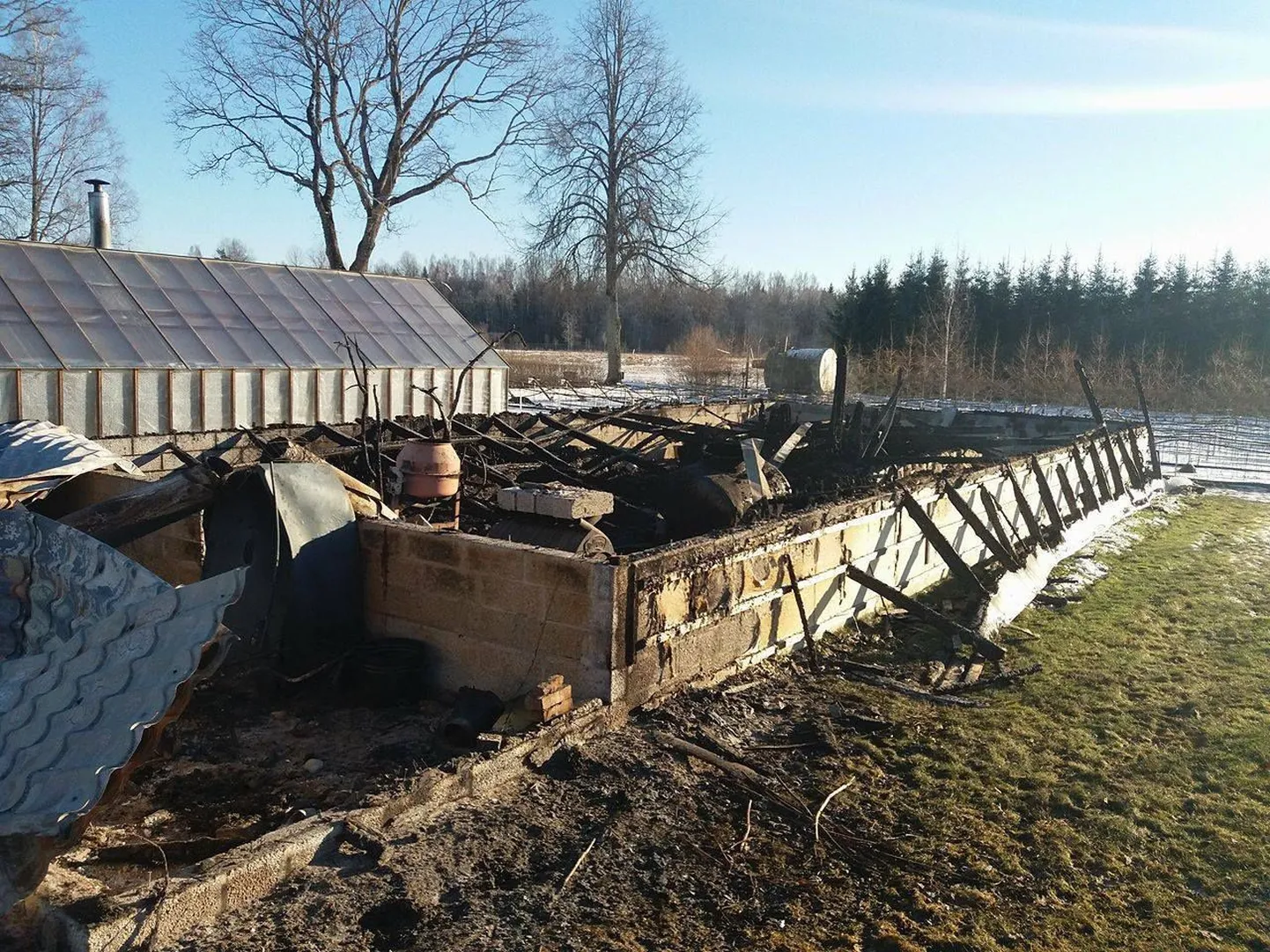 Saare-Tõrvaaugu aiand Vändra vallas.