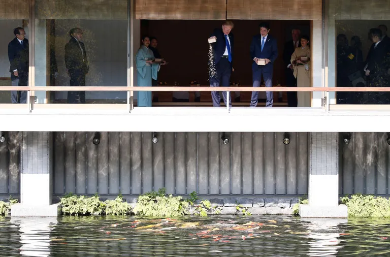 Donald Trump ja Shinzo Abe karpkalu toitmas