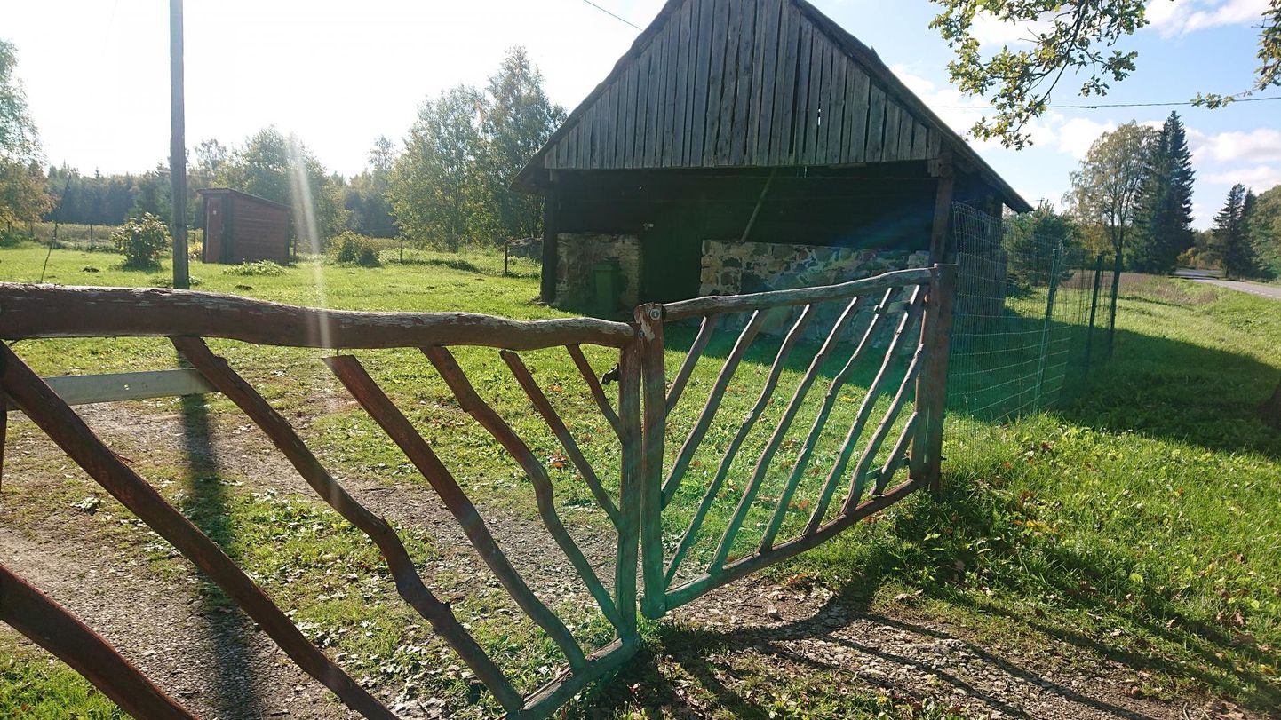 Ворота дома, к которым подошел разъяренный медведь.
