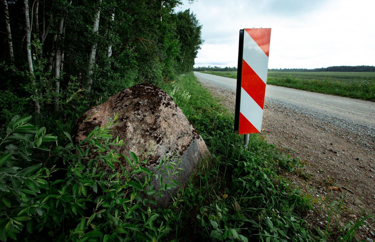 Järve-Jaani kivi Vanamõisa–Koonga–Ahaste tee ääres on rahvapäri­muse järgi ajaloolise tähendusega. Sealne kogukond soovib rahnu säili­tada.