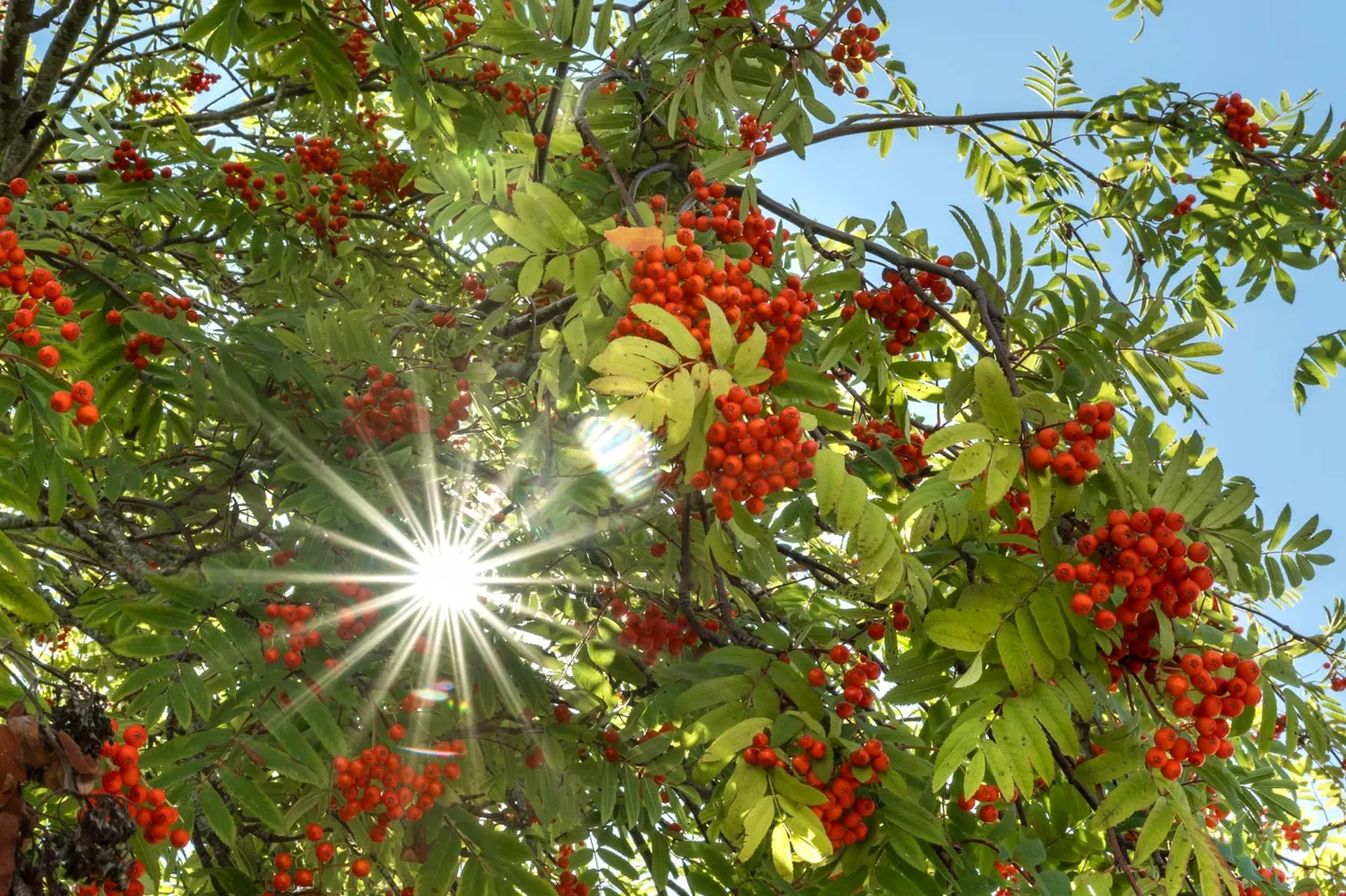 Ei ole vaid kalendrisuvi: temperatuur räägib sama.