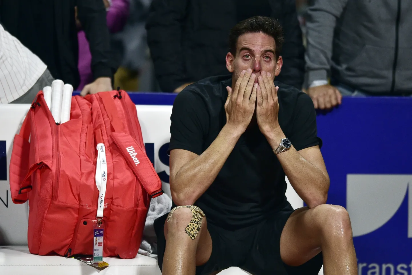 Huans Martins del Potro