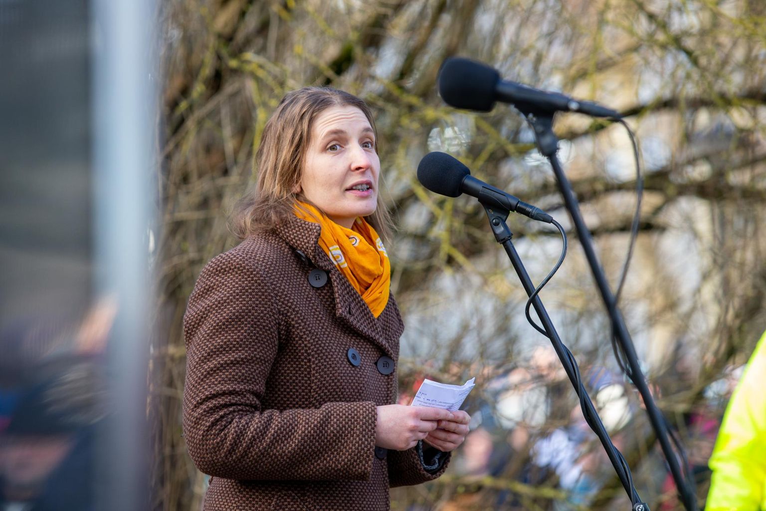 Carolina Pihelgas kõneles linnakirjanikuna 24. veebruaril tähetorni juures Eesti lipu austamise tseremoonial.
 