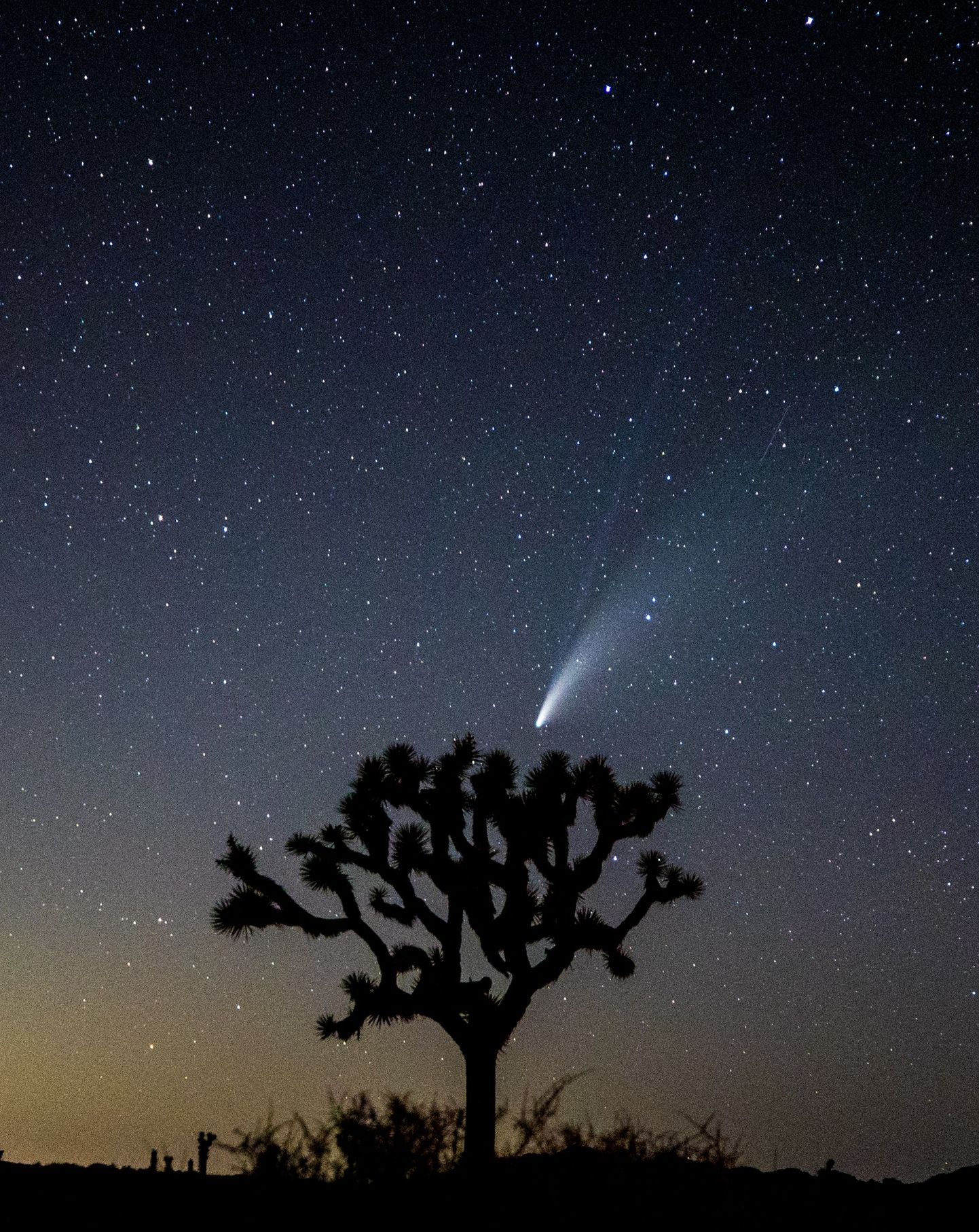 Komeet Neowise, mis kannab ka tähistust C2020 F3, nähtuna 19. juulil 2020 USAs Californias