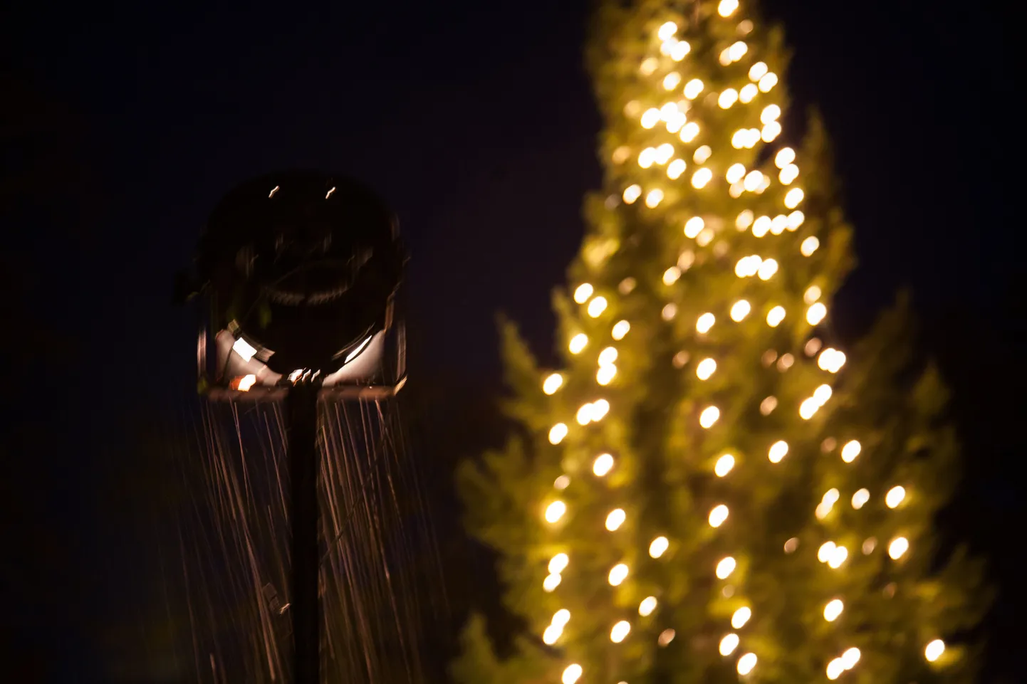 Esimene advent Paide keskväljakul.
