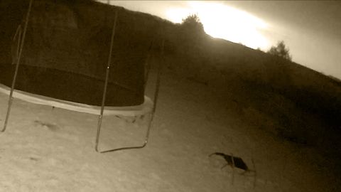 VIDEO: ⟩ Ust-Luga sadama põlengud paistavad Ida-Virumaale välja