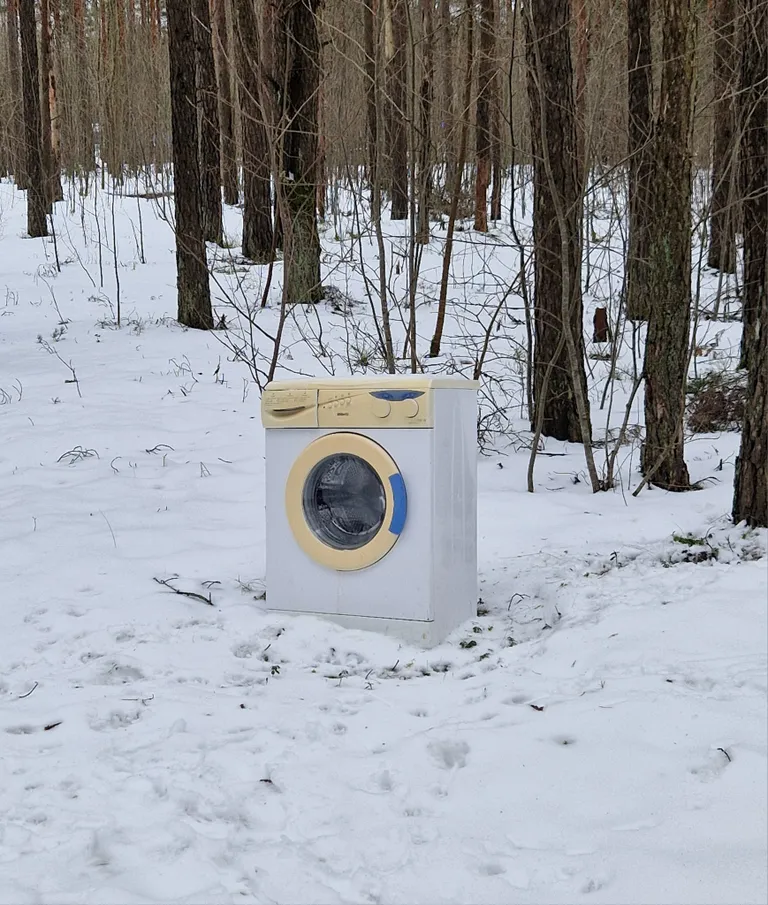 Pesumasin Nõmmel.