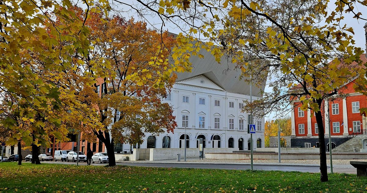 Narva lapsevanemad saavad abi eestikeelsele õppele üleminekul