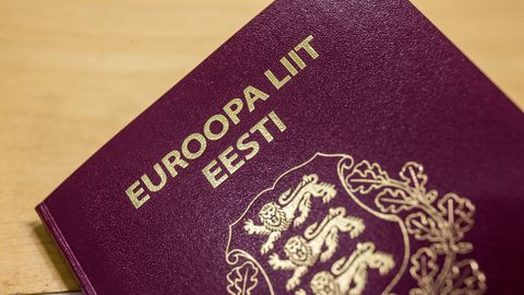 График: узнайте, паспорта каких стран выбирают отказавшиеся от эстонского гражданства