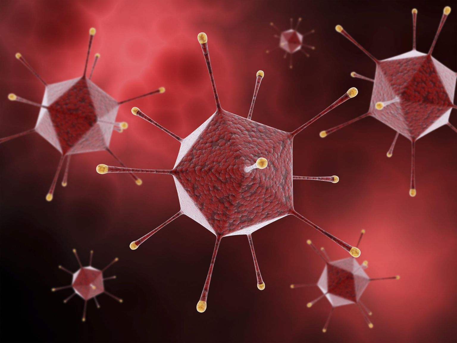 Adenoviiruse arvutigraafiline esitlus. Omalaadse meremiinina turritavate valgutundlatega adenoviirused on levinud nakatajad. Vaktsiini saamiseks vahetatakse pärilikkusaines viirust paljundav osa koronaviiruse ogavalku tootmist kirjeldavate DNA-juhtnööridega.