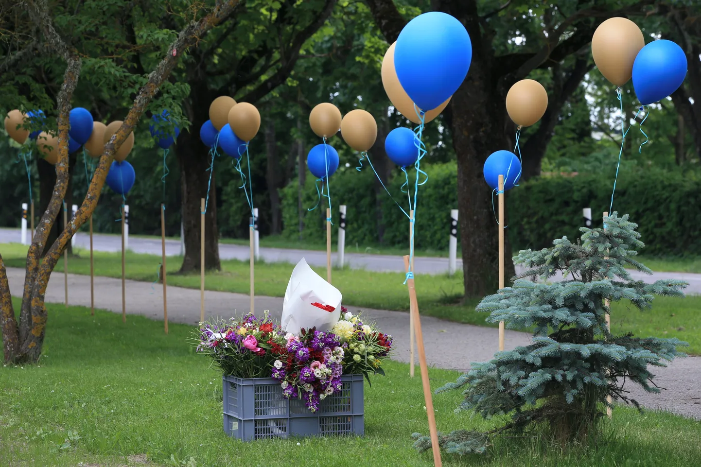 Tartu linnavalitsus ei piira koole lõpuaktuse koha valimisel, kuid ei luba aktusel osalemise eest õpilastelt tasu küsida.